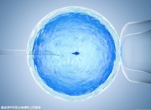 供卵试管选性别代生咨询